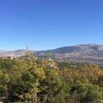 IMG_6080-copy_033556