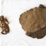 تحويل أورق الشجر إلى ورق للكتابة